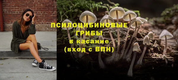 марки nbome Ладушкин