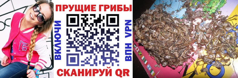 MEGA tor  Тимашёвск  Галлюциногенные грибы прущие грибы 